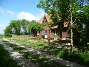 Ferienwohnung für 4 Personen (60 m²) in St. Peter-Ording