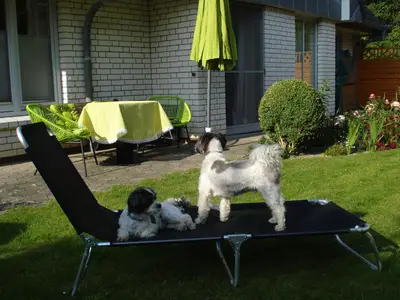 Ferienwohnung für 2 Personen (80 m²) in St. Peter-Ording 4/10