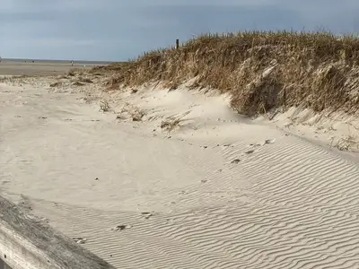 Ferienwohnung für 3 Personen (26 m²) in St. Peter-Ording 8/10