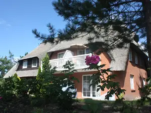 Ferienwohnung für 4 Personen (75 m²) in St. Peter-Ording