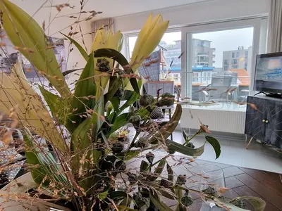 Ferienwohnung für 4 Personen (80 m²) in St. Peter-Ording 3/10