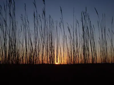 Auf dem Deich bei Sonnenuntergang