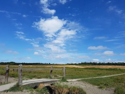 Wanderweg im Deichvorland