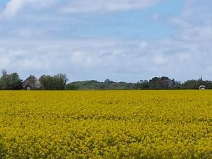 18587685-Ferienwohnung-3-St. Peter-Ording-300x225-4