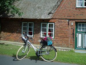 19209145-Ferienwohnung-5-St. Peter-Ording-300x225-3