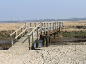 18588375-Ferienwohnung-4-St. Peter-Ording-300x225-5