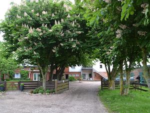 18946030-Ferienwohnung-4-St. Peter-Ording-300x225-2