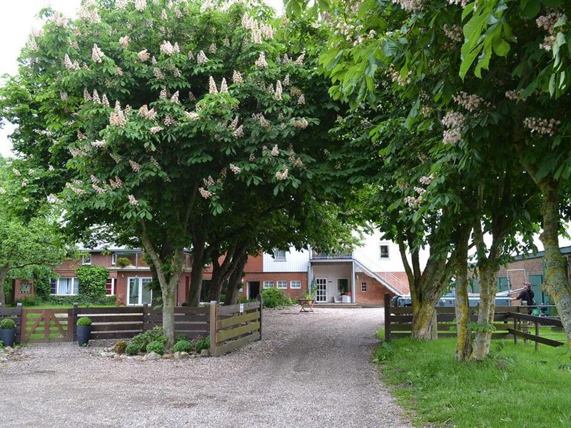 18946027-Ferienwohnung-2-St. Peter-Ording-800x600-2