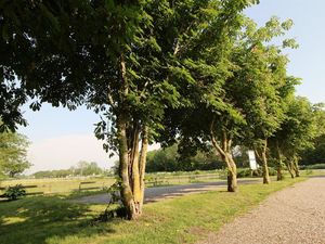 18946032-Ferienwohnung-4-St. Peter-Ording-300x225-5