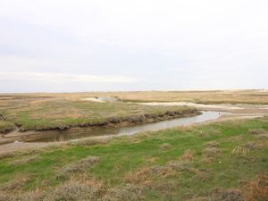 19326251-Ferienwohnung-2-St. Peter-Ording-300x225-3