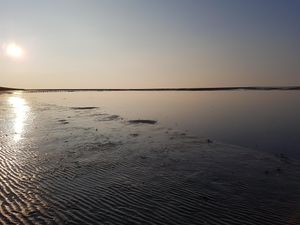 22609773-Ferienwohnung-2-St. Peter-Ording-300x225-4