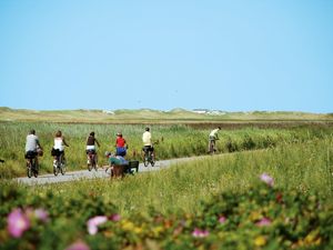 19210497-Ferienwohnung-2-St. Peter-Ording-300x225-5