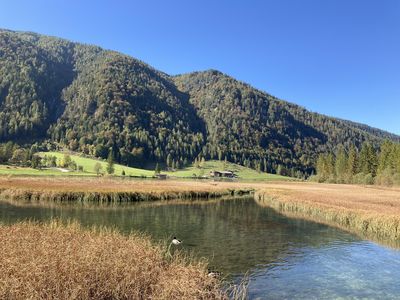 Herbstspaziergang am Pillersee