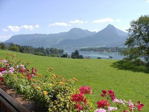 18585662-Ferienwohnung-4-St. Wolfgang im Salzkammergut-300x225-1