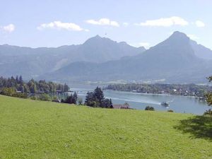 18585661-Ferienwohnung-4-St. Wolfgang im Salzkammergut-300x225-3