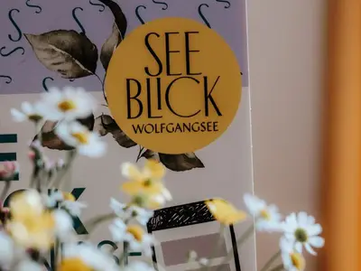 Ferienwohnung für 1 Person in St. Wolfgang im Salzkammergut 6/10
