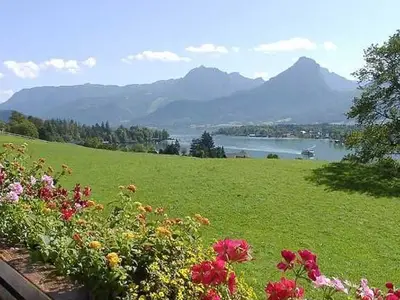 Ferienwohnung für 4 Personen (35 m²) in St. Wolfgang im Salzkammergut 2/10