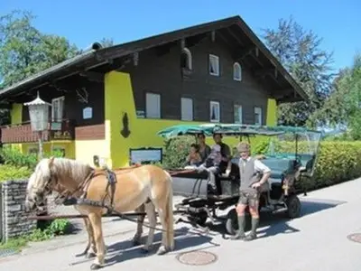 Ferienwohnung für 3 Personen (45 m²) in St. Wolfgang im Salzkammergut 8/10