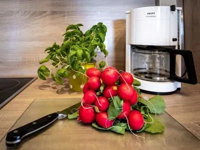 mit Cerankochfeld, Mikrowelle, Kühlschrank, Kaffeemaschine, Toaster, Wasserkocher