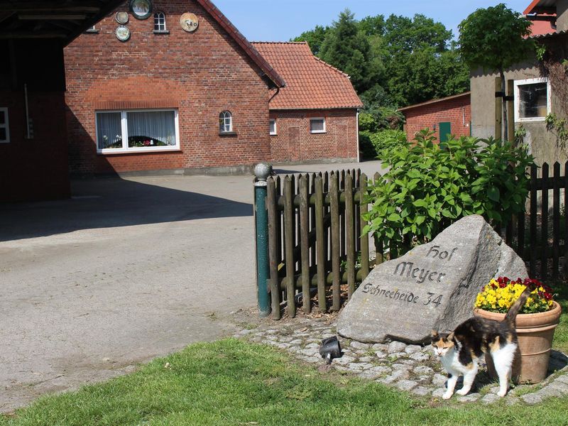 22044393-Ferienwohnung-2--800x600-2