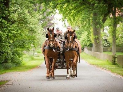 Gespannfahren