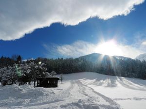 Rodelbahn am Hof