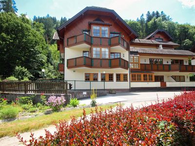 Appartement Berggasse im Sommer