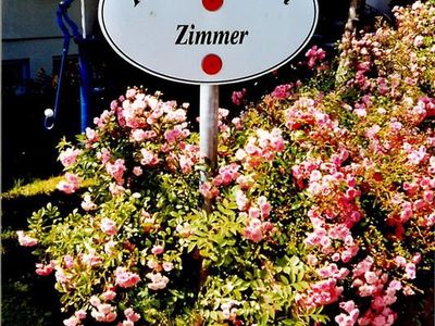 Zimmer - Ferienwohnung