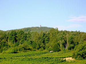 Balkonaussicht rechts