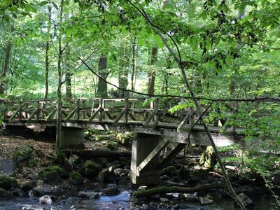 Holzbachschlucht 3