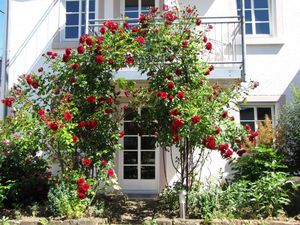 Terrasse Ferienhaus