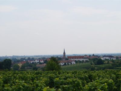 Ruppertsberg von Westen