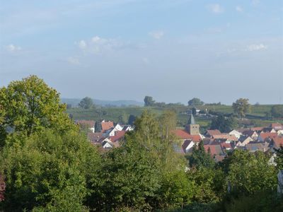 Blick aus dem Garten