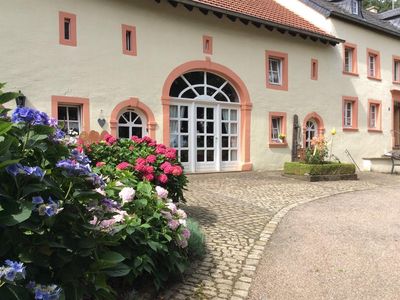 Blühende Hortensien in bunten Beeten 