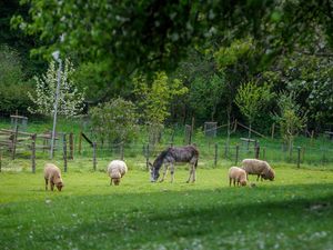 19073390-Ferienwohnung-7--300x225-2