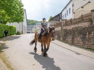 19073397-Ferienwohnung-8--300x225-4