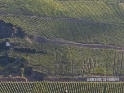 Aussicht auf Weingut  Wehlener Sonnenuhr