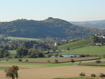 Weingut-Ferienwohnung Jungblut (5)