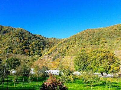 Blick zur Mosel