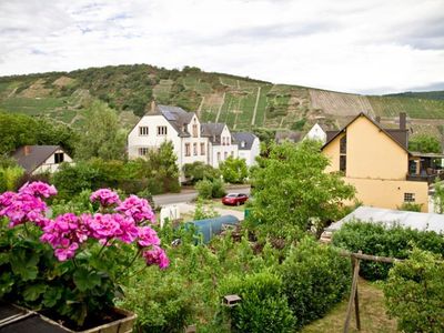 Aussicht Balkon von FeWo Bacchus / Livia