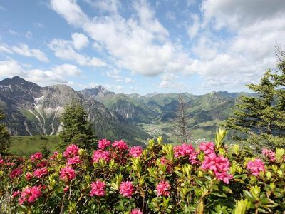 Sommer im Kleinwalseral