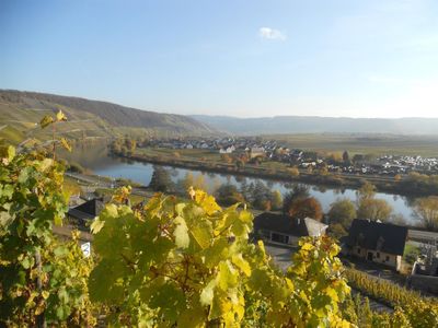 Mosel 2011-2 026