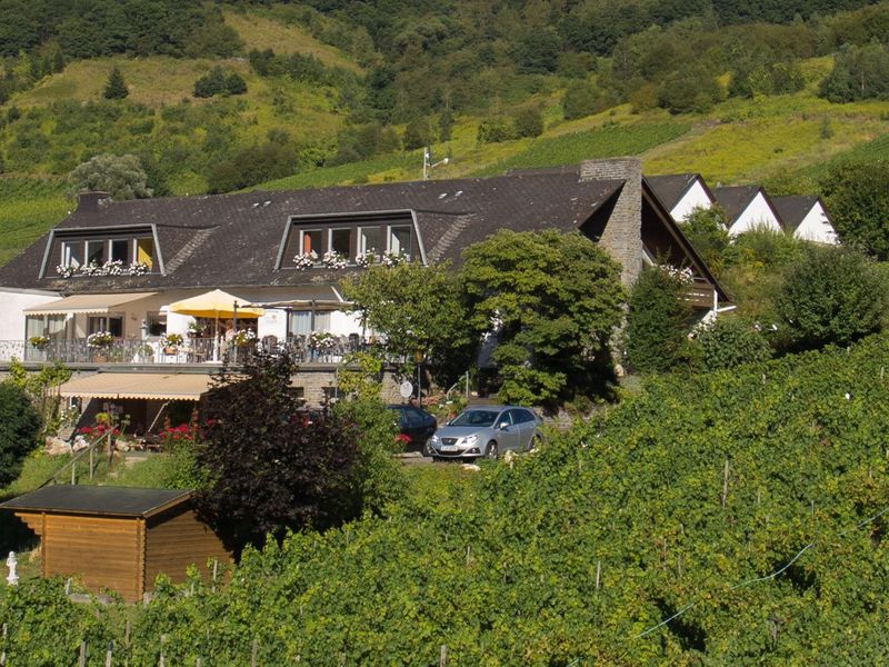 Weingut_Gaestehaus_Heidhof_Burg_Mosel-47