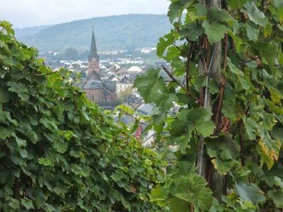 Schweich, am Fuß der Weinberge