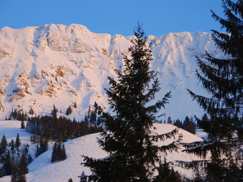 Blick aus Wohnzimmer auf Kühgrund