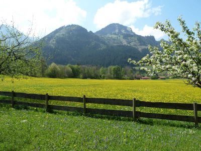 Ausblick vom Wohn- und Schlafzimmer