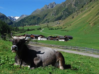 Brollerhof Alm