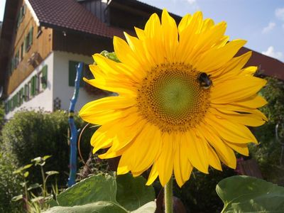 Natur mit allen Sinnen