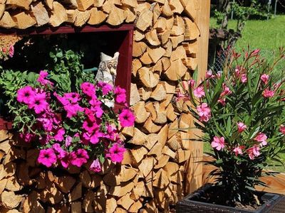 Holz trifft Blumen