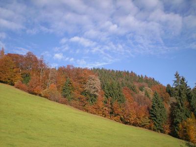 Hinterm Haus im Herbst